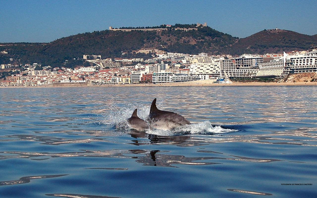 Vila De Sol 세심브라 외부 사진